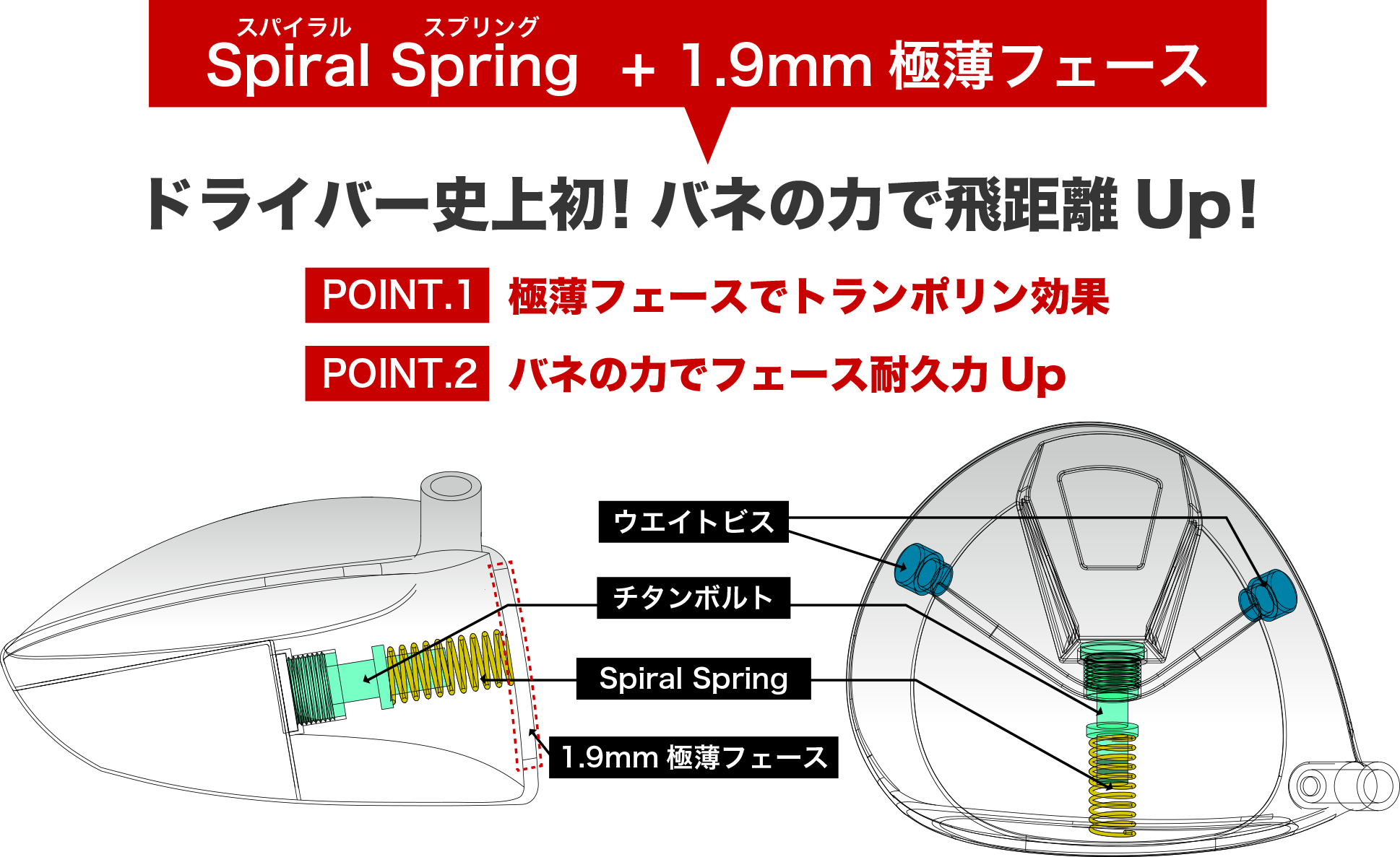 SpiralSpring